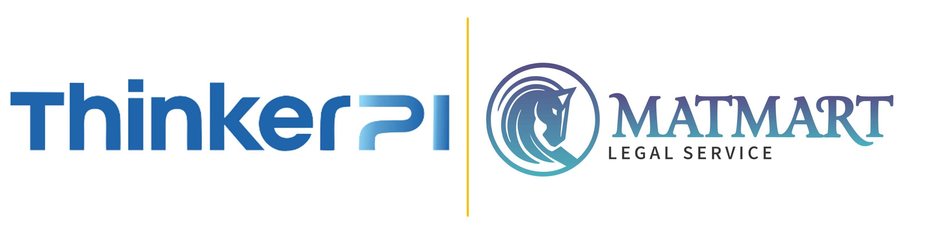 ThinkerPI | TuIntangible